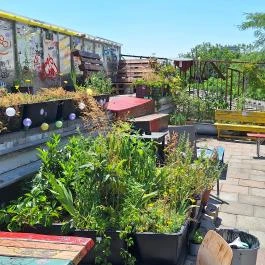 Gólya Presszó Budapest - Belső