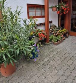 Gólyafészek Vendéglő