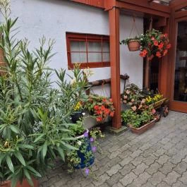 Gólyafészek Vendéglő, Pápa - Egyéb