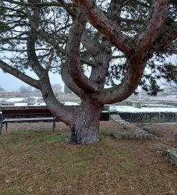 Gorsium Szabadtéri Múzeum - Régészeti Park