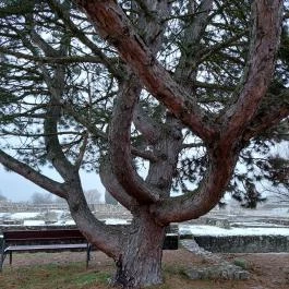 Gorsium Szabadtéri Múzeum - Régészeti Park, Székesfehérvár - Külső kép