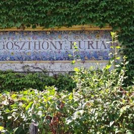 Goszthony Mária Emlékmúzeum és Nemzetközi Üvegmúzeum Bárdudvarnok - Egyéb