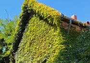 Goszthony Mária Emlékmúzeum és Nemzetközi Üvegmúzeum Bárdudvarnok