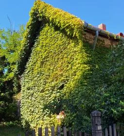 Goszthony Mária Emlékmúzeum és Nemzetközi Üvegmúzeum