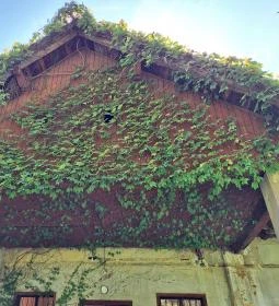 Goszthony Mária Emlékmúzeum és Nemzetközi Üvegmúzeum