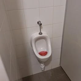 Govinda Vegetáriánus Étterem Eger - Mosdó