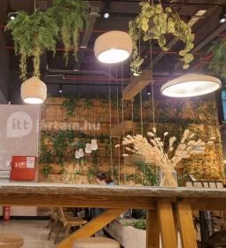 Greenhabit Budapest