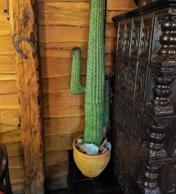 Gringos Pub Pizzéria & Étterem