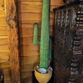 Gringos Pub Pizzéria & Étterem Csongrád - Egyéb