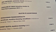 Gróf Degenfeld Kastélyszálló Étterem Tarcal - Étlap/itallap