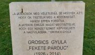 Grosics Gyula Budapest - Egyéb