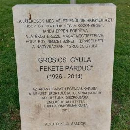 Grosics Gyula, Budapest - Egyéb