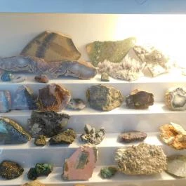 Arnoldo - Gross Arnold Galéria & Kávézó Budapest - Belső