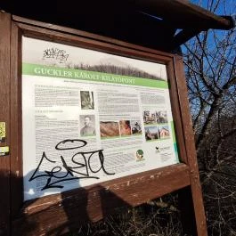 Guckler Károly-kilátó, Budapest - Egyéb