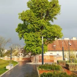 Gül Baba Türbe és Rózsakert Budapest - Külső kép