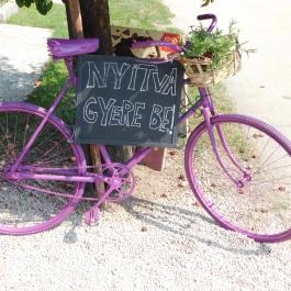 Guruló Mokka, Ábrahámhegy - Külső kép