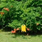 Guruló Mokka Ábrahámhegy - Külső kép