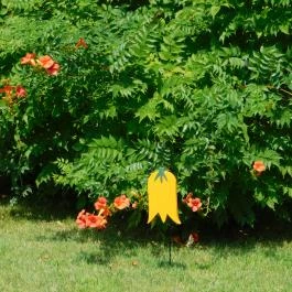 Guruló Mokka, Ábrahámhegy - Külső kép