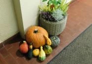 Gusto Restaurant Gyula