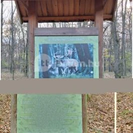 Gúti templomrom Nyíradony - Egyéb