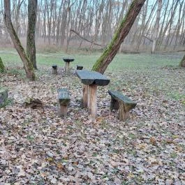 Gúti templomrom Nyíradony - Egyéb