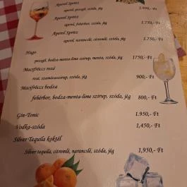 Gyógygödör Borozó Sopron - Étlap/itallap