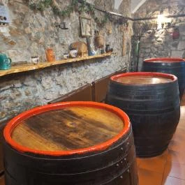 Gyógygödör Borozó Sopron - Belső