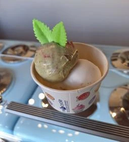 Gyógynövény Fagylalt Műhely