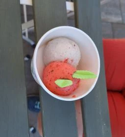 Gyógynövény Fagylalt Műhely