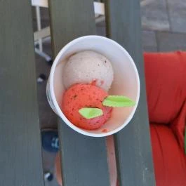 Gyógynövény Fagylalt Műhely Zánka - Étel/ital