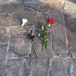 Gyömrői Gyilkosságok Emlékműve Maglód - Egyéb