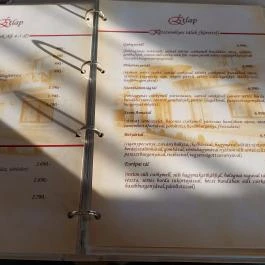 Györgyey Kastély Étterem & Panzió Tápiógyörgye - Étlap/itallap