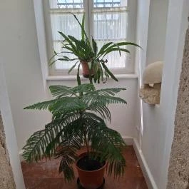 Győry-kastély, Perkáta - Belső