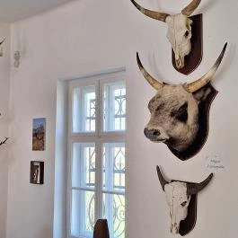 Gyulavári Kastély, Gyula - Belső