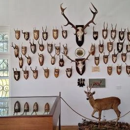 Gyulavári Kastély, Gyula - Egyéb