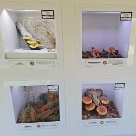 Gyulavári Kastély, Gyula - Egyéb