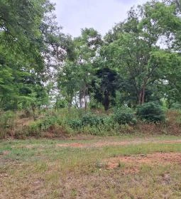 Gyürky-Solymossy Kastély