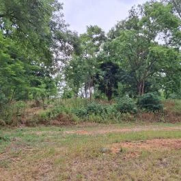 Gyürky-Solymossy Kastély Bátonyterenye - Külső kép