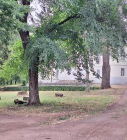 Gyürky-Solymossy Kastély