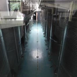 Hableány Badacsonytomaj - Egyéb