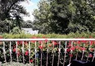 Hableány Étterem Leányfalu