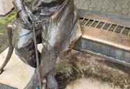 Habsburg Frigyes Mosonmagyaróvár