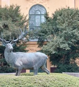 Habsburg Vadászkastély