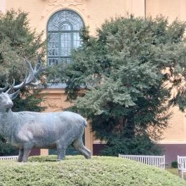 Habsburg Vadászkastély, Hercegszántó - Külső kép