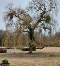 Habsburg Vadászkastély