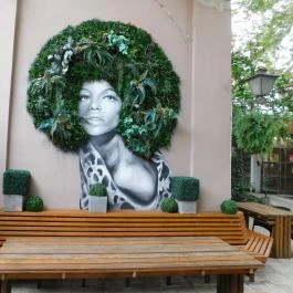 Hági Udvar Szeged - Egyéb