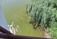 Hajó kilátó Tolna