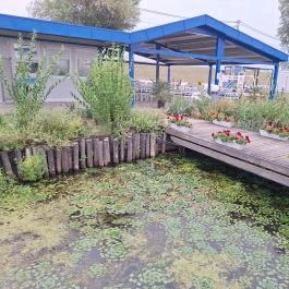 Hajóborda Bisztró, Abádszalók - Egyéb