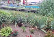 Hajóborda Bisztró Abádszalók