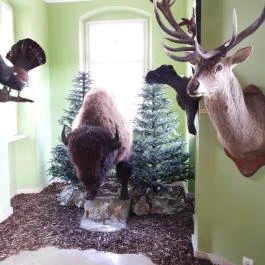 Hajósi Barokk Kastély Hajós - Egyéb